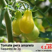 Tomate pera amarelo - Desde 2.85 &euro;