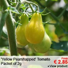 Tomato seeds - 'Yellow Pearshapped' Tomato - From 2.85 &euro;