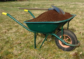 Choix de l�emplacement de votre plant