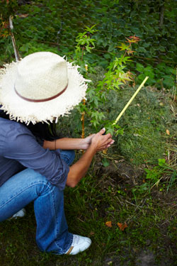Garden Law