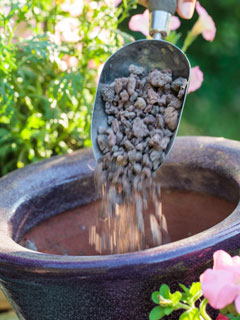 Placez 3  5 cm de matire drainante au fond du pot avant de mettre le terreau