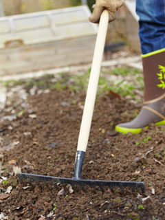 Prparez le sol comme pour un 'vrai' semis.
