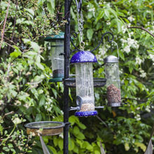 Nourrir les oiseaux du jardin, utile et colo