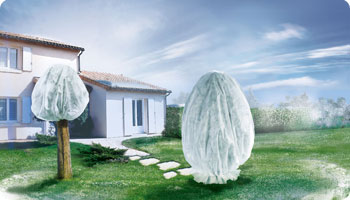 HIVERNAGE DES PLANTES