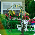 CLIMBING PLANT SUPPORTS