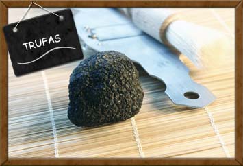 Trufas y productos con Trufas