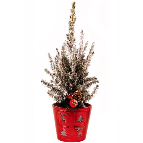 sapin de noel 187 sapin de noel en pot 1000 id 233 es sur la sapin de noel 187 sapin de noel en pot 1000 id 233 es sur la