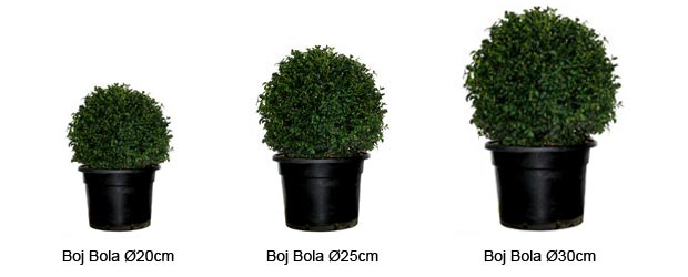 Boj bola &Oslash;40/45 cm, Boj bola &Oslash;30/35 cm, Boj bola &Oslash;20/25 cm