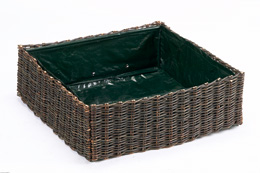 Carr� de plantation en osier