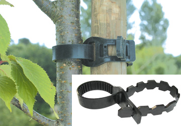 Colliers de tuteurage pour arbres - L36 cm Colliers de tuteurage pour arbres - L36 cm