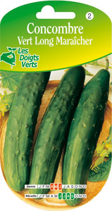 Cucumber, green Long, �Mara�cher� - Cucumis sativum