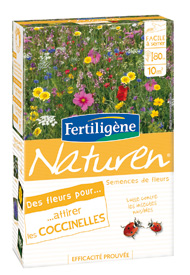 Flores para atrair as joaninhas - Cuidado das plantas, tratamentos