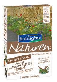 Des Fleurs pour Limiter les Mauvaises Herbes le long des murs et grillages - Soins des plantes, traitements