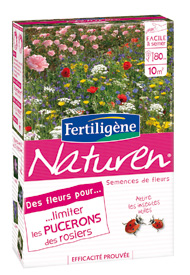 Flores para limitar os pulg�es nas roseiras - Cuidado das plantas, tratamentos