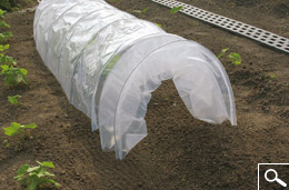 Easy tunnel - Tunnel en accord�on