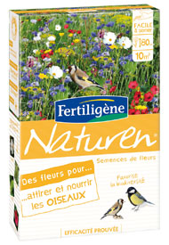 Des fleurs pour attirer et nourrir les oiseaux - Soins des plantes, traitements