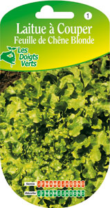Blonde Oak leaf Lettuce - Lactuca sativa