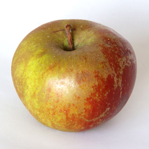 'Belle de Boskoop'