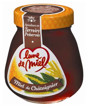 Miel de Chataignier, miel monofloral