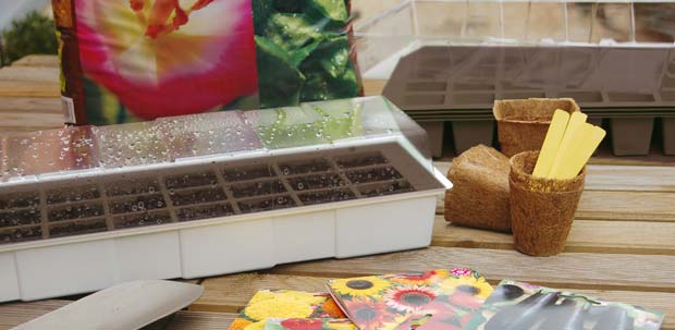 Mini-estufa para o rebordo da janela