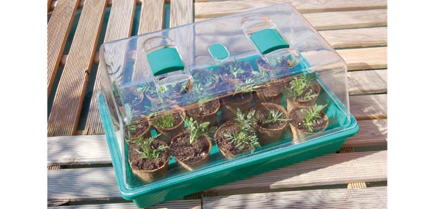 Mini-estufa de semeadura
