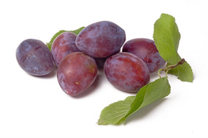 Prunes 'Pr�sident'