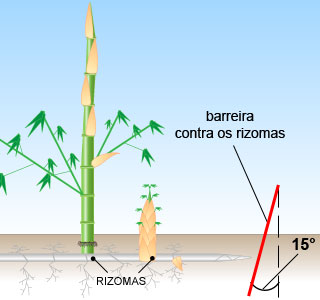 Barri�re anti-rhizome