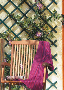 Treillis PVC Extensible Mural 100 x 300 cm
