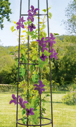 Colonne 4 pieds en m�tal 200 cm