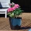 Spring container 'Spring Pink Glossy'