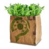 Kit de Plantation Salade Bio - Roquette