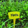 Etiquettes T  planter 15cm - Nortne