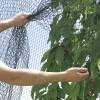 Filet renforc pour arbres fruitiers - 5x6 m