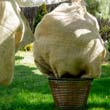 NATURESAC