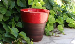 Pottery Eucalyptus - Clair de Terre
