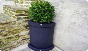 Quadrant Circle Flower Pots - Puur