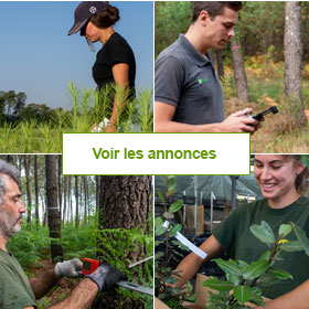 Planfor recrute