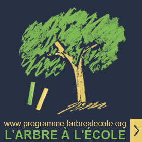 Programme l'Arbre  l'cole