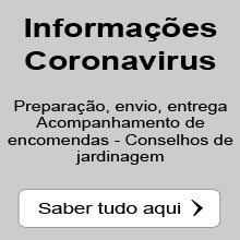Informa��es Coronavirus