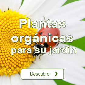 Plantas orgánicas