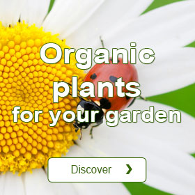 Organic plants