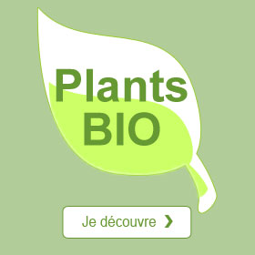 Plants BIO