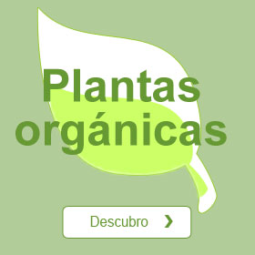 Plantas orgánicas