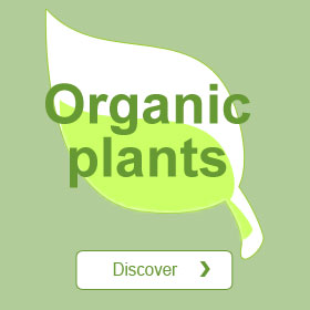 Organic plants