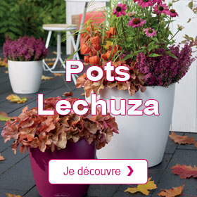 Pots Lechuza