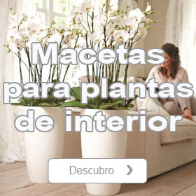 Macetas para plantas de interior