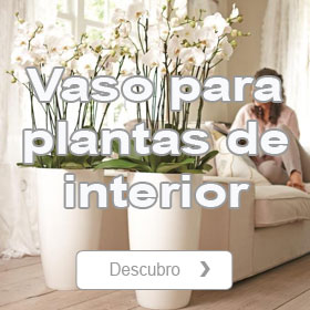 Vasos para plantas de interior