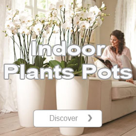 Indoor plant pots