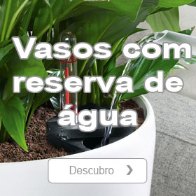 Plantas : venda on-line de plantas para o seu jardim