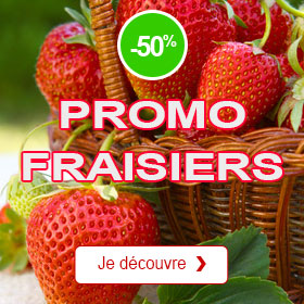 promo fraisiers